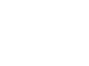 Trina Koster Photography | Guelph Headshots, Wedding photography, Business Portraits & Events